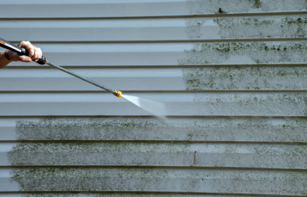 Best Fence Cleaning  in South Daytona, FL